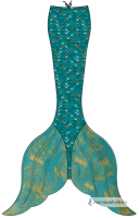 MIDNIGHT BLACK Adult S (37-39)